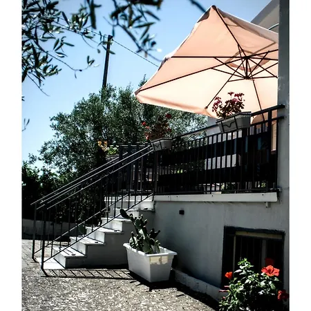 Ficodindia B&B