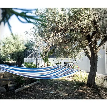Ficodindia San Cataldo (Sicily)